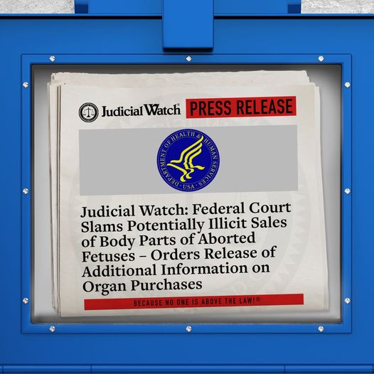 Abortioner & Organhandel