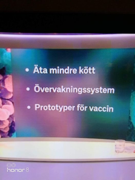 Måsten I SVT2 Nyheter