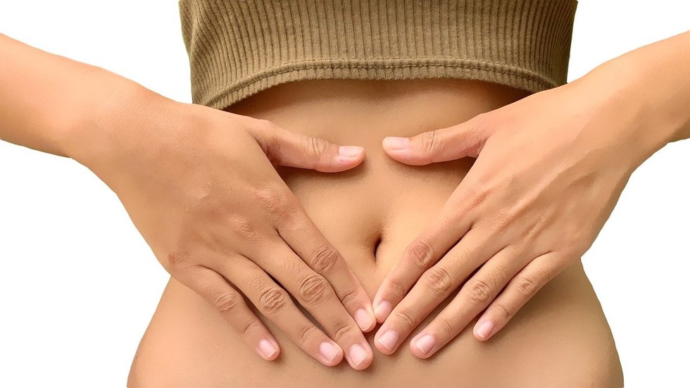 Vetenskapligt Nyupptäckta Interna Virusarter I Tusental