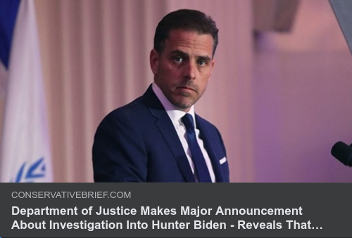 Hunter Biden Undersökning
