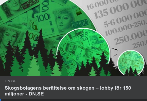 Naturligt Eller Mänskligt Utplacerat Trädbestånd