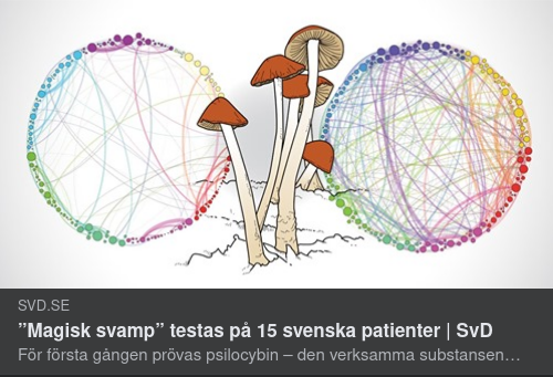 Svensktest Av Magiska Svampar
