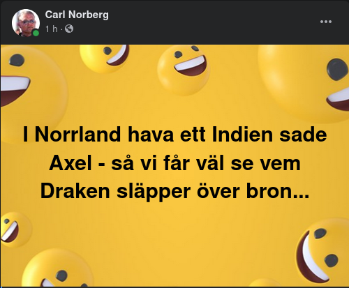 Brovaktande Drake Till Svenska Indien
