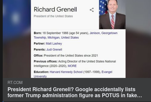 Google Visar Grenell Som POTUS