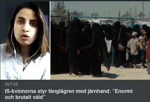 IS - En Kvinnlig Organisation