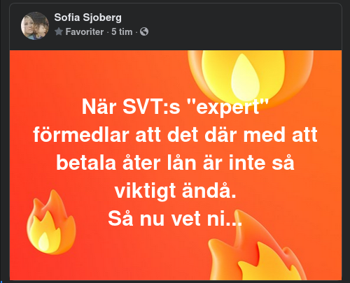 Lånåterbetalningsexpert I SVT