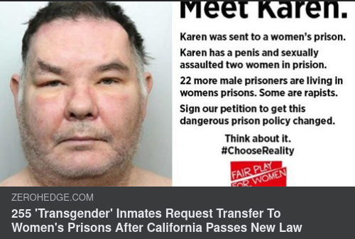 Penisutrustad Kvinna Begär Fängelseförflyttning