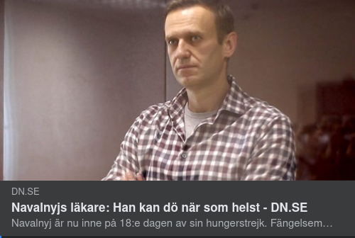 Navalny & Opinionsbildningssuccé