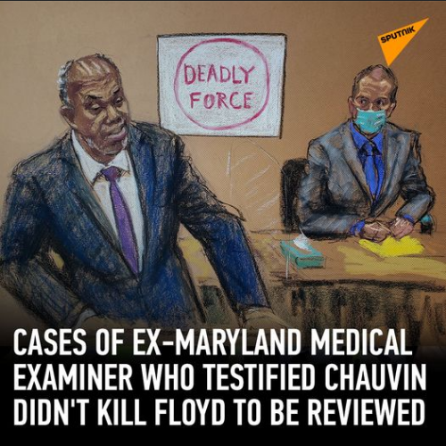 Vittnesundersökning