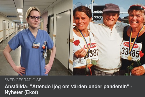 Pandemivårdansvar & Det Svenska Rättssystemet