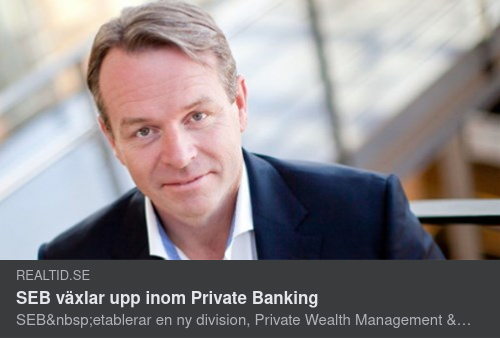 SEB I Ett Skuldmättat System