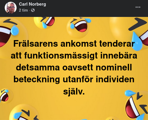 Funktionsmässig Frälsarankomst
