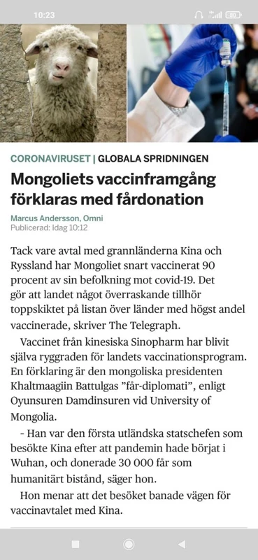 Fårdonation & Vaccinframgång I Mongoliet