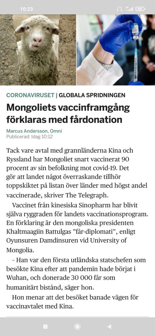 Fårdonation & Vaccinframgång I Mongoliet
