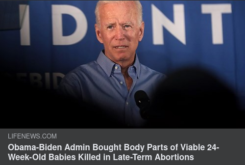 Skattefinansierad Abortorganhandel