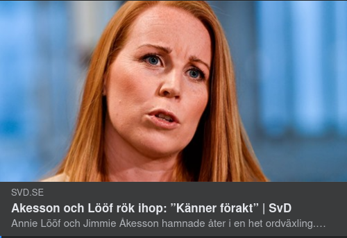 Oviktig & Meningslös Inrikespolitik