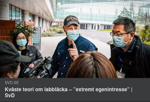 Labbläcketeorikväsande Egenintresse