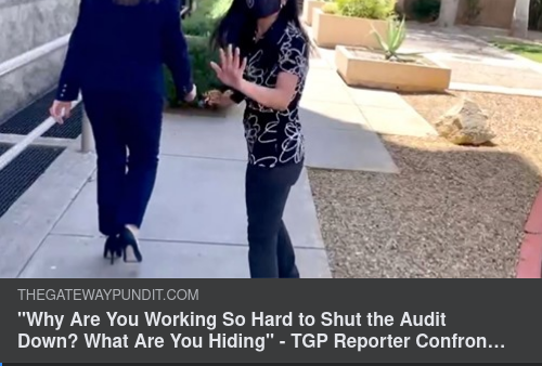 Djupt Springande Paladin I Arizona