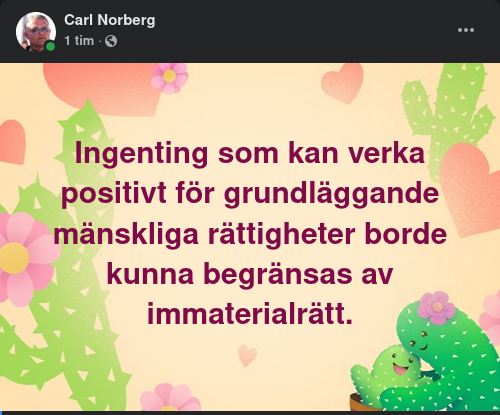 Immaterialrättsbegränsande