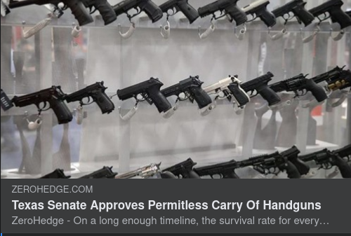 Konstitutionellt Vapeninnehav