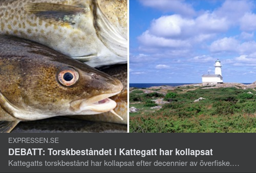 Greta, Miljörörelsen & Kattegatt-Torsken