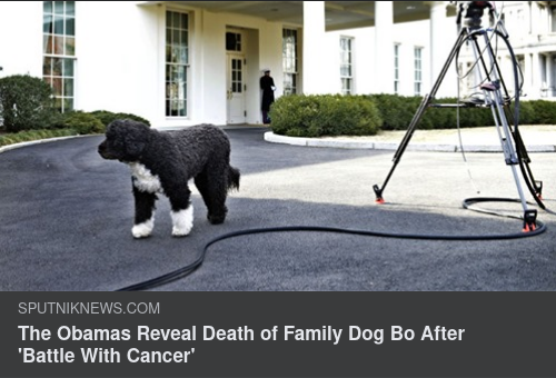 Obamas Hund Död
