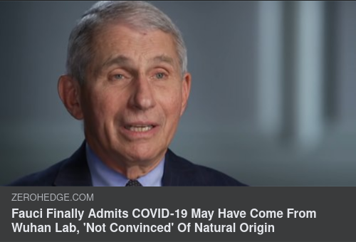 Fauci & Möjligt Labbursprung