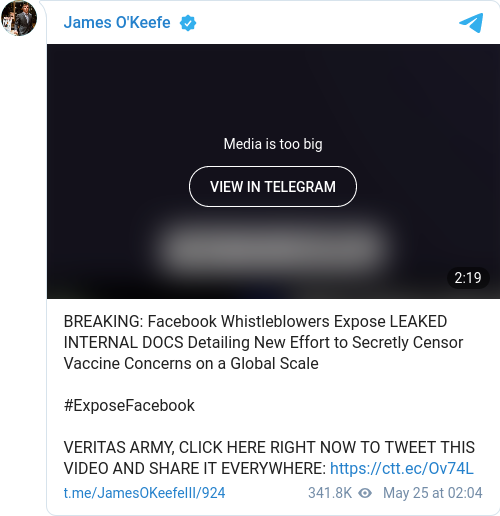 Veritas & FB-Visselblåsare