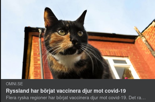 Seriös Rysk Djurvaccinering