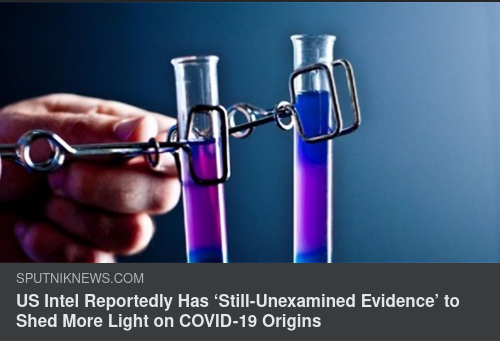 Oundersökta Bevis Om Virusursprung