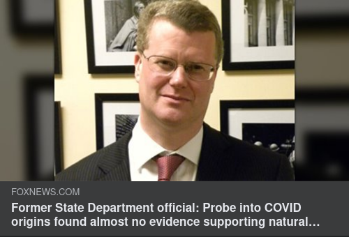 Covidursprungsfrågan