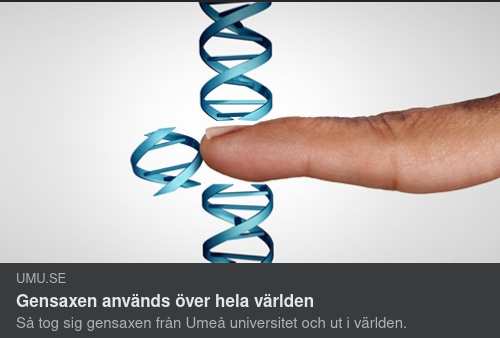 Global Gensaxanvändning