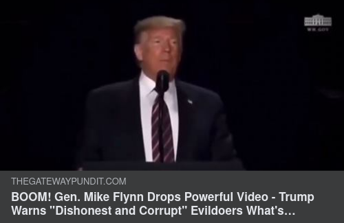 Flynn Postar Video Med Trump