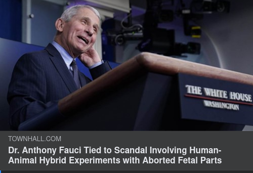 Fauci & Hybridexperiment
