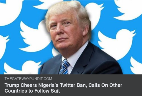 Twitter Som Offerlamm