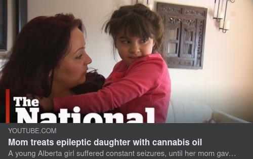 Cannabisolja & Epilepsi