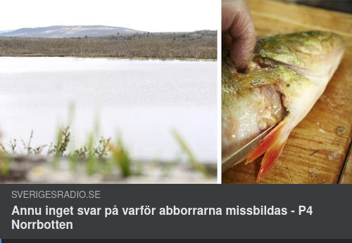 Svarslöst Om Missbildade Aborrar