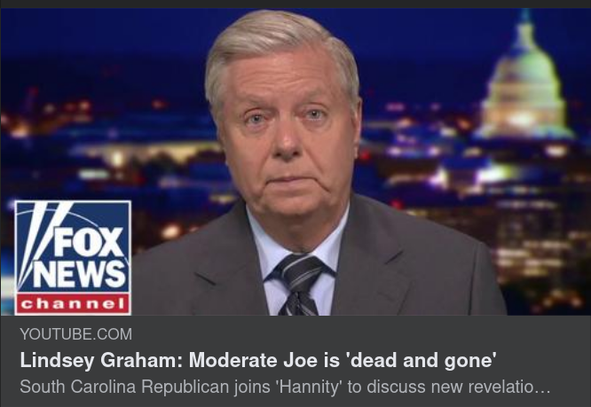 Lindsey Graham & Covidiotioptiken