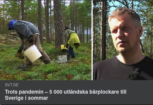 Marknadsbehov Utan Alternativ