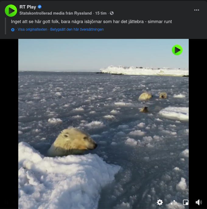 Isbjörnar I Statskontrollerad Media Från Ryssland