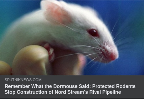 Musstoppad Konkurrensgasledning