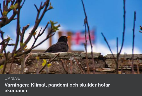 Ekonomihotande Klimat, Pandemi & Skulder