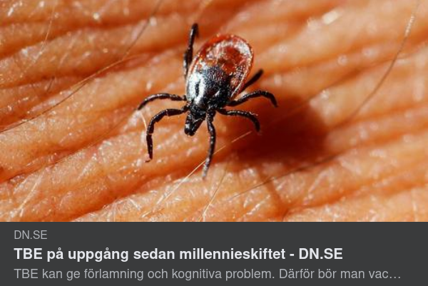 Folkbildande TBE-Fästingar