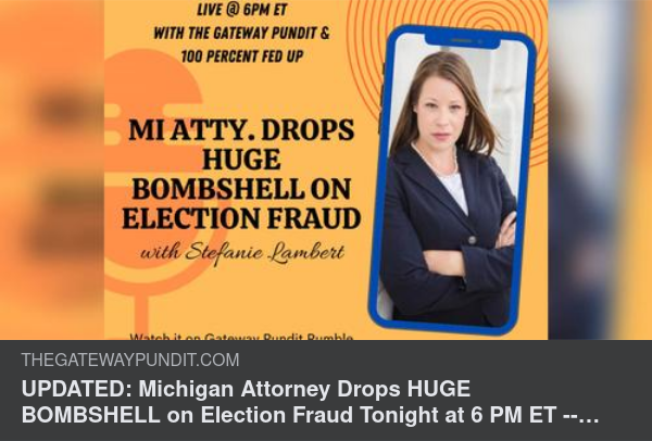 Om Valfusket I Michigan