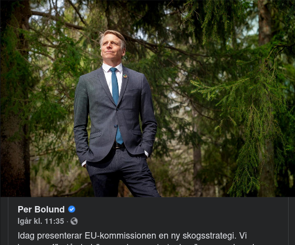 Bolund & En Ny Skogstragedi