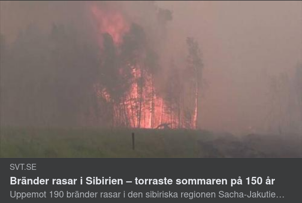 Sibiriska Skogsbränder