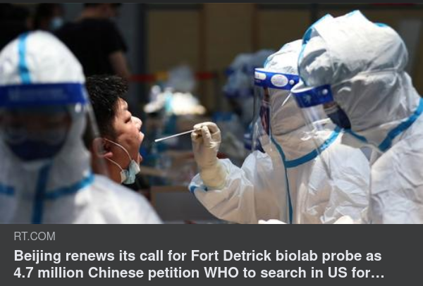 Envis Kinesisk Undersökningsvilja