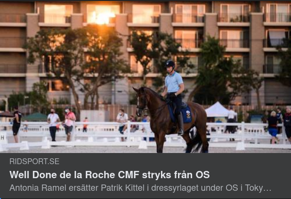 Svensk Hästskada I OS