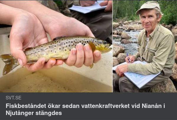 Stängt Vattenkraftverk & Ökat Fiskbestånd