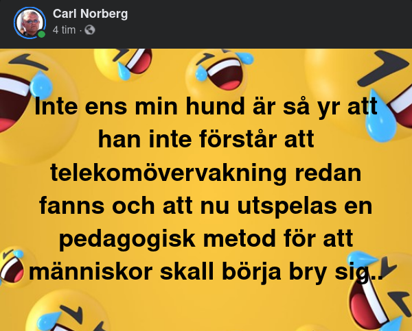 Hund & Människoförståelse